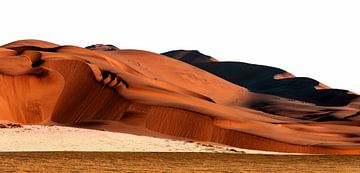 in de Namib Woestijn van Alex Neumayer