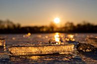 Eisbrocken auf einem gefrorenen See während eines warmen Sonnenaufgangs von Kim Willems Miniaturansicht