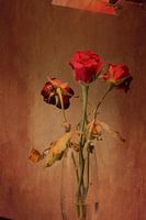 Rozen
