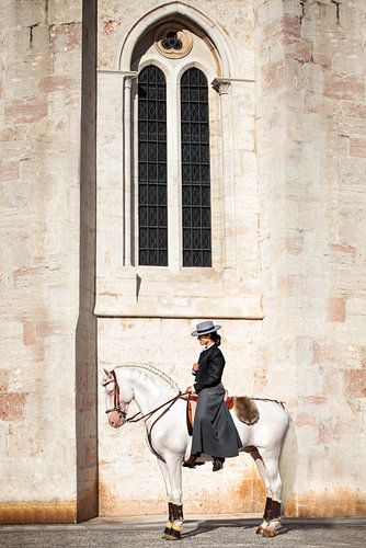 Paard en ruiter in Portugal | Paardenfotografie