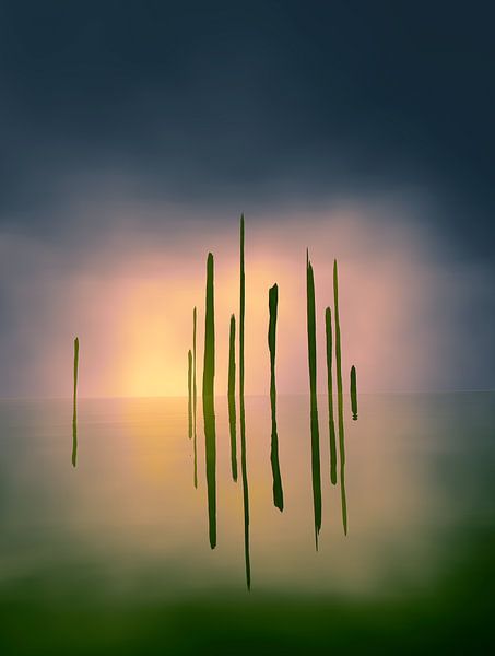 Minimalist landscape by Angel Estevez
