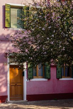 Venise colorée, Italie | Photographie de voyage sur Tine Depré