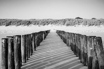 Poteaux de la plage de Flessingue en perspective rythmée en noir et blanc sur Femke Ketelaar
