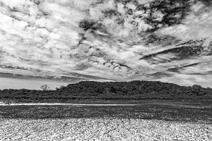 Silver Clouds15