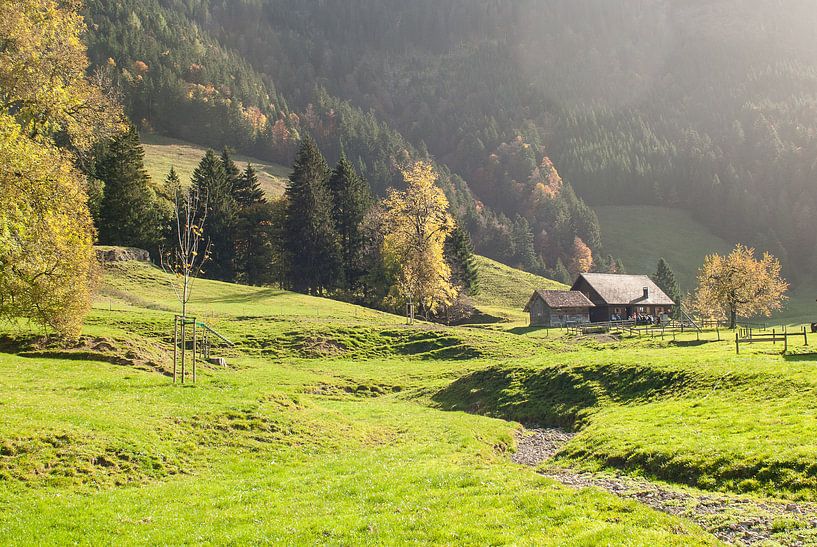 Alpenweide in de late herfstzon van John Faber