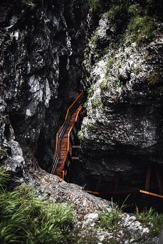 Mystical view into the gorge