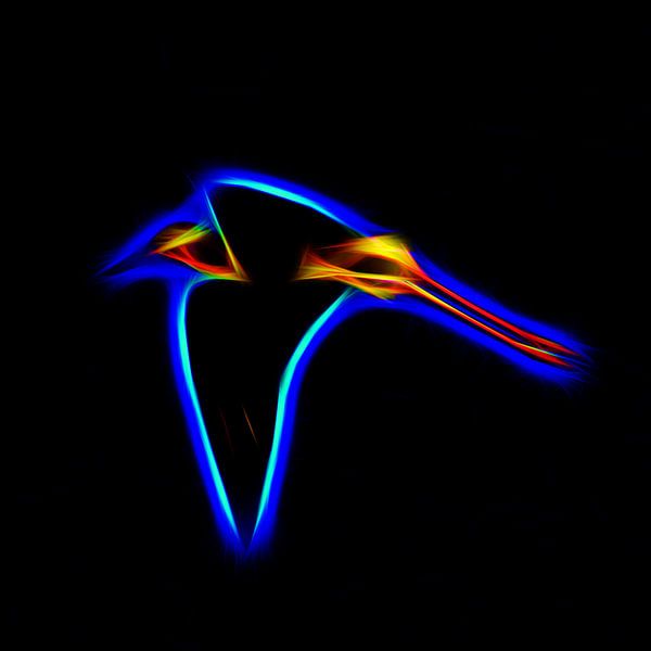 Flight of light by Henryk Rybak