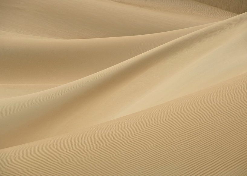 Fluwelen duinen van Hadi Navid