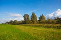 Langs de IJsselmeerdijk