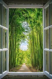 Fensterblick in den Bambuswald von Poster Art Shop