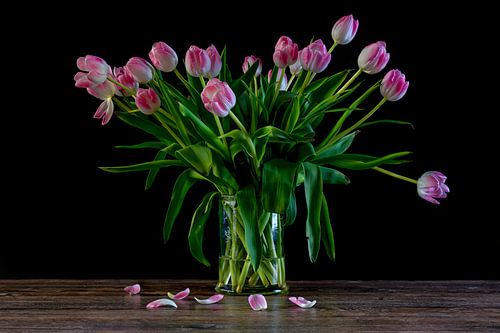 In bloom? (stilleven)