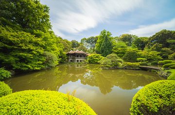 Jardin national de Shinjuku Gyoen (Japon) sur Marcel Kerdijk