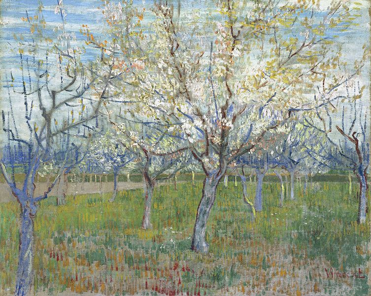 Obstgarten mit blühenden Aprikosenbäumen, Vincent van Gogh von Meesterlijcke Meesters