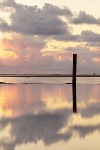 Water reflection