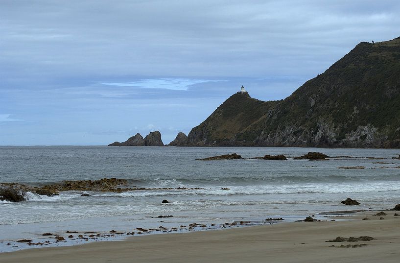 Nugget point - a view from the beach par Jeroen van Deel