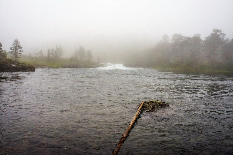 Mistige rivier in Noorwegen von Remco de Zwijger