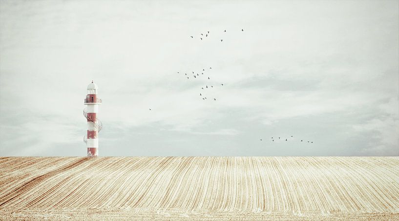 Der Leuchtturm von Lars van de Goor