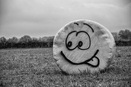 Graffiti op hooibaal in Simpelveld