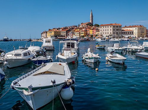 Haven van Rovinj aan de Adriatische Zee