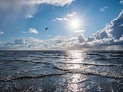 Wellen mit Sonne an der Nordsee von Animaflora PicsStock Miniaturansicht