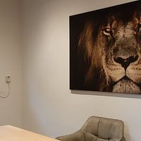 Klantfoto: Donkere leeuwenkop Close-up terwijl hij je direct aankijkt van Atelier Liesjes, op canvas