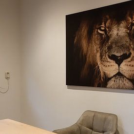 Customer photo: Dark lion head Close-up as he looks directly at you by Atelier Liesjes, on canvas