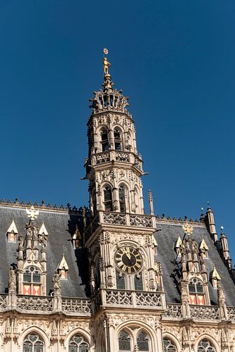 Oudenaarde Stadhuis