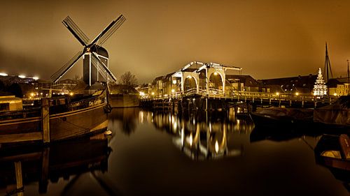 Molen de Put Leiden