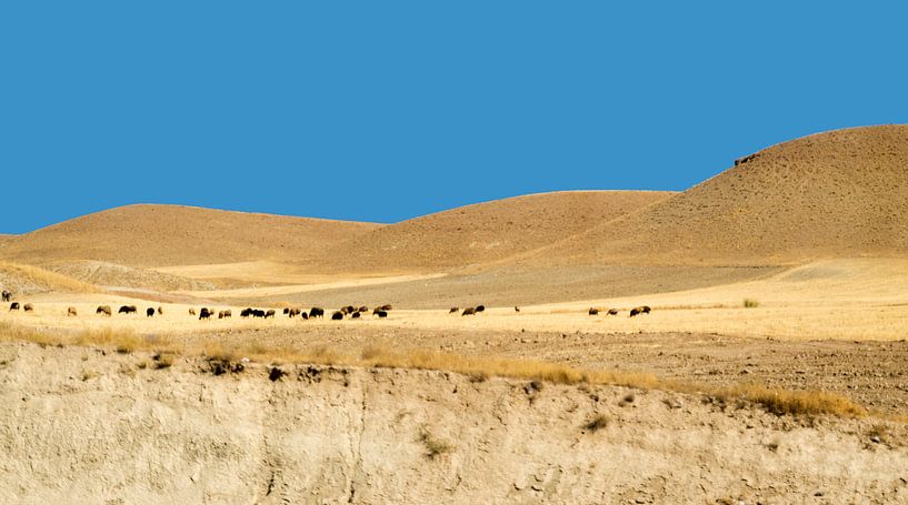 Iran: Landscape between Hamedan and Saveh by Maarten Verhees