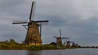 Kinderdijk landschapsfoto