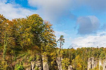 Uitzicht op rotsen en bomen in Saksisch Zwitserland van Rico Ködder