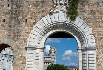 Stadttor mit Blick auf den Schiefen Turm von Pisa by Animaflora PicsStock