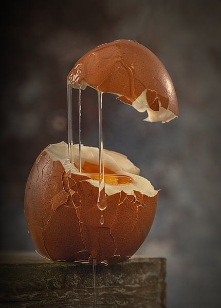 Eierhähne von natascha verbij