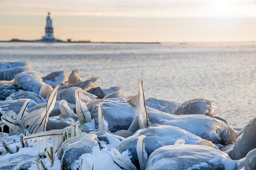 Horse of Marken - winter - with ice in the Markermeer