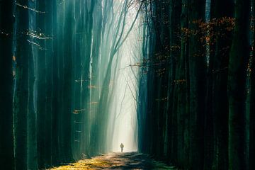 De Fietser by Lars van de Goor