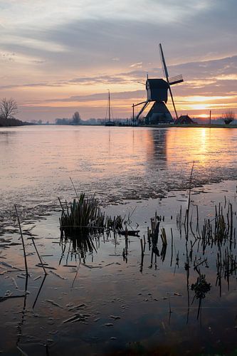 Einzelne Mühle in Kinderdijk