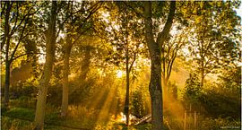 Arkel kanaaldijk van Eibert den Hengst
