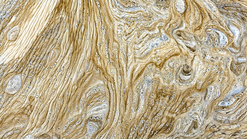 Organic harmony by Hans Kwaspen