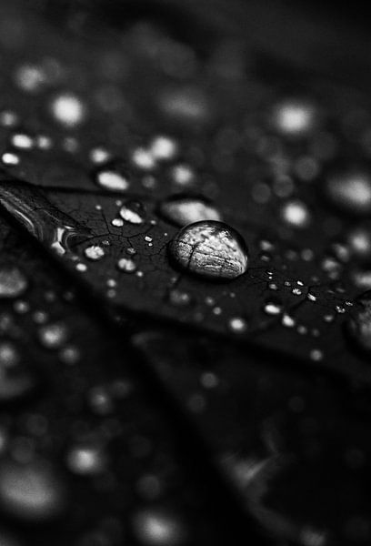 Drops black and white by Milou Hinssen