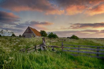 Schafstall Texel bei Sonnenuntergang von John Leeninga