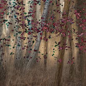 Colourful forest by natascha verbij