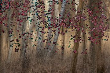 Forêt colorée sur natascha verbij