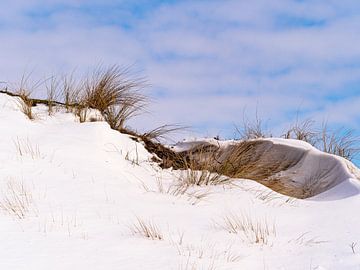 Winter in De Zilk van Dirk van der Plas