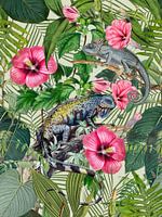 Tropical Paradiese With Iguanas