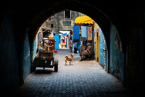 Straathond in Marokko