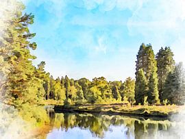 Haarplas, Diffelen, Overijssel.