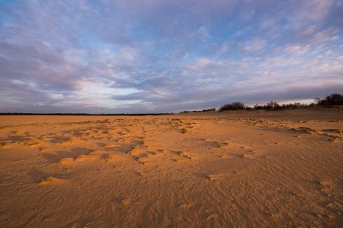 Sunrise - Loonse en Drunense Duinen by Laura Vink