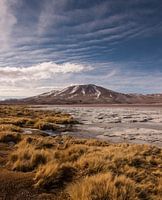 Laguna Colorada