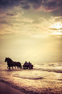 Met de paardenkar door de golven
