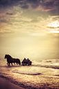 Met de paardenkar door de golven von Evert Jan Kip Miniaturansicht